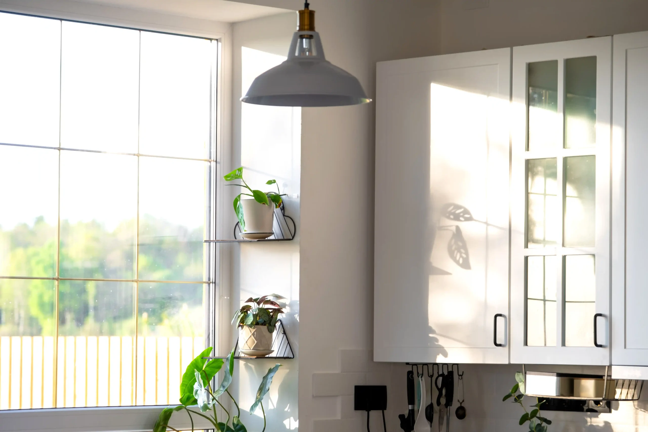 Bright kitchen with sunlight streaming through a window, illuminating white cabinets and small plants on shelves. A pendant lamp hangs above, casting soft shadows.