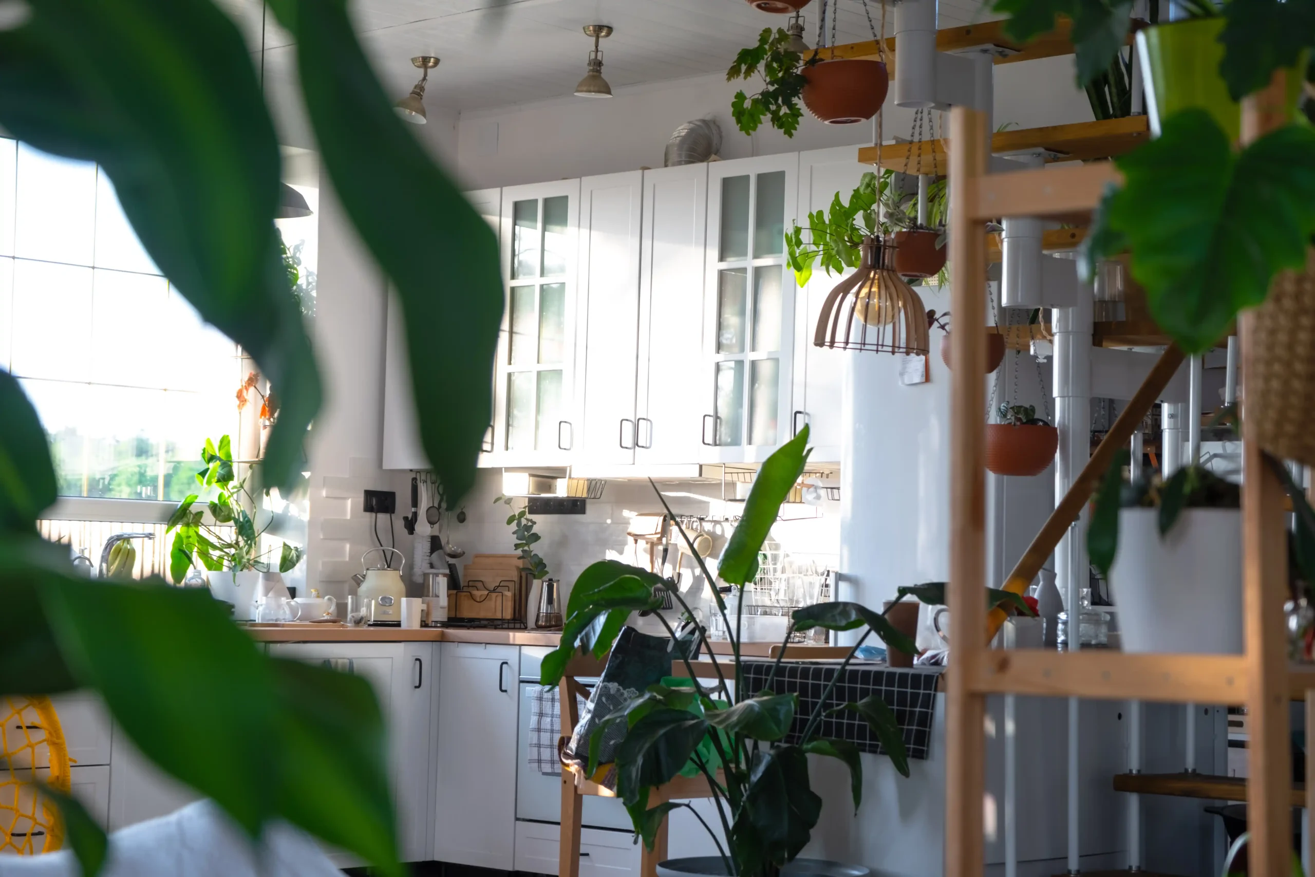 Bright kitchen with white cabinets and wooden countertops filled with lush, potted plants. Sunlight filters through large windows, creating a cozy, vibrant atmosphere.