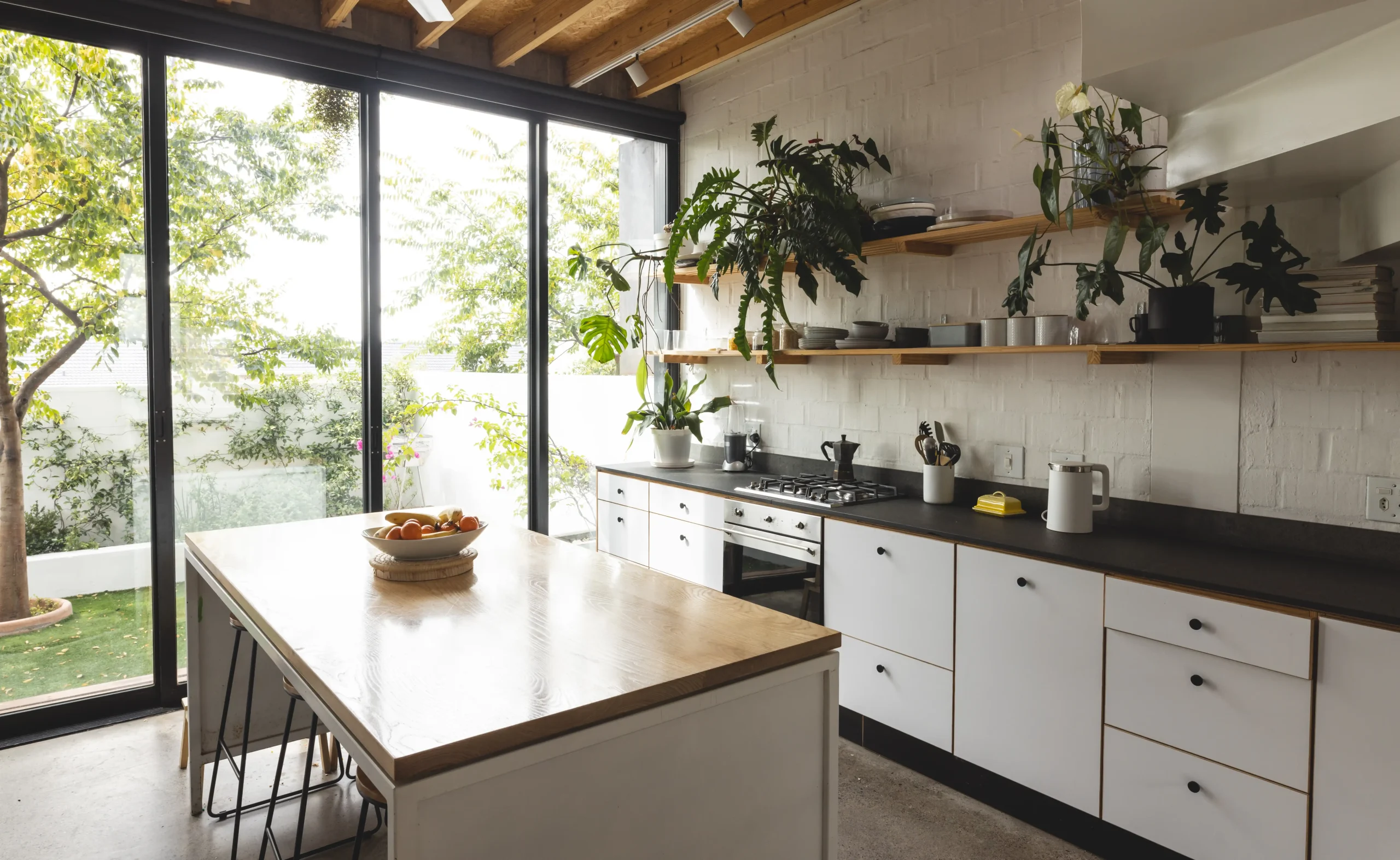 Modern kitchen with white cabinets, large windows, and abundant natural light. Green plants on shelves add freshness, while a bowl of fruit sits on the island.
